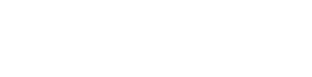 Project Ireland 2040 Logo